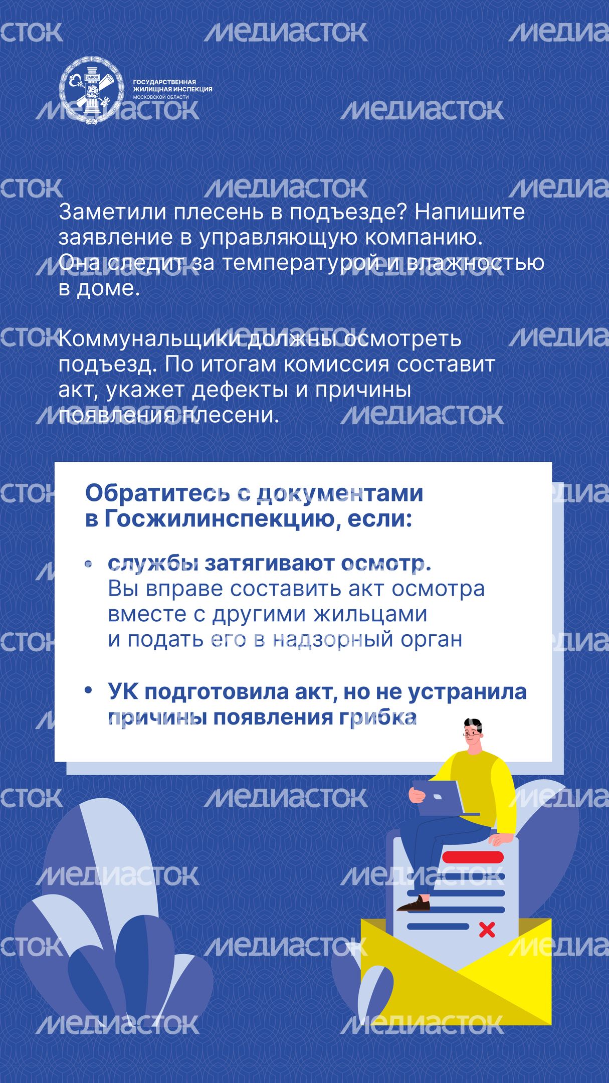 Вертикаль Плесень 05.jpg