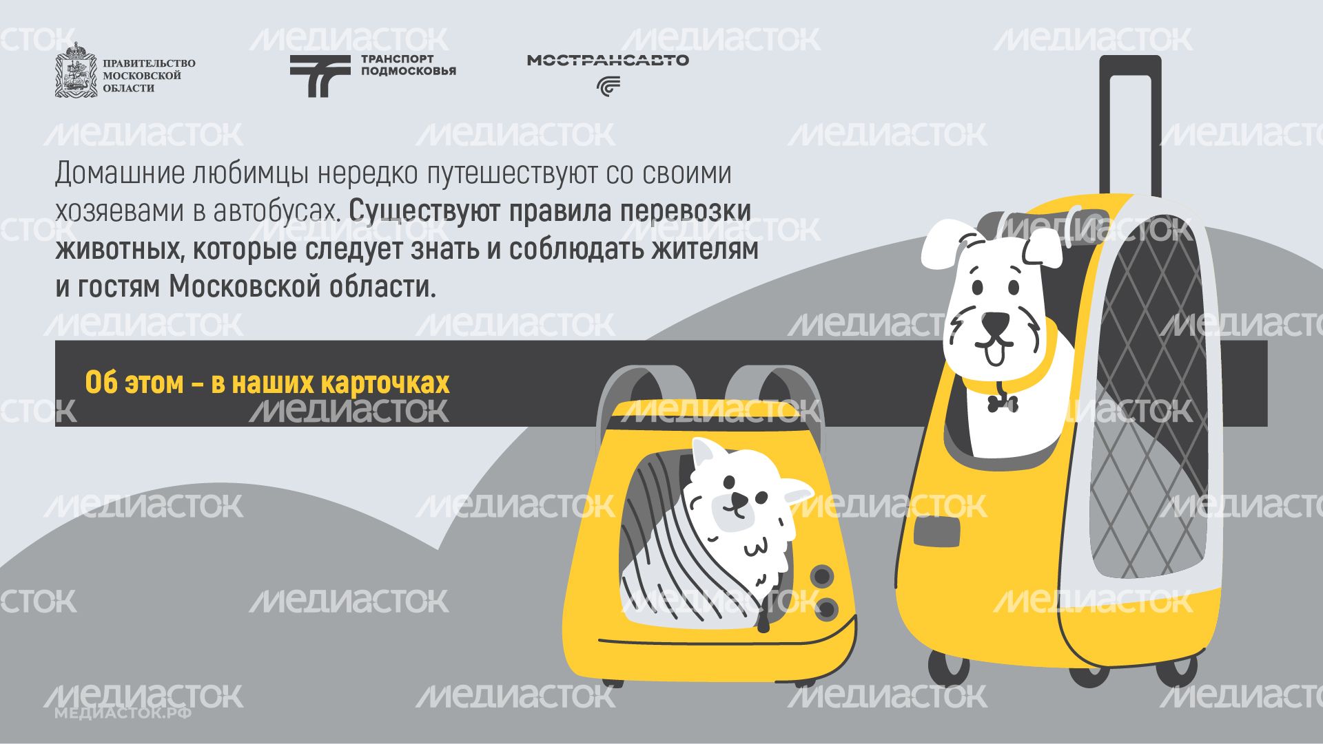 Правила перевозки животных горизонталь 02