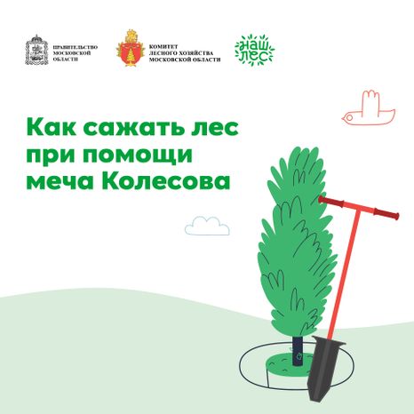 Квадрат_ меч Колесова_01-100.jpg