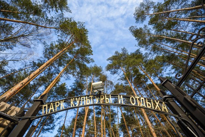 Парк культуры и отдыха «Елочки» в Домодедово