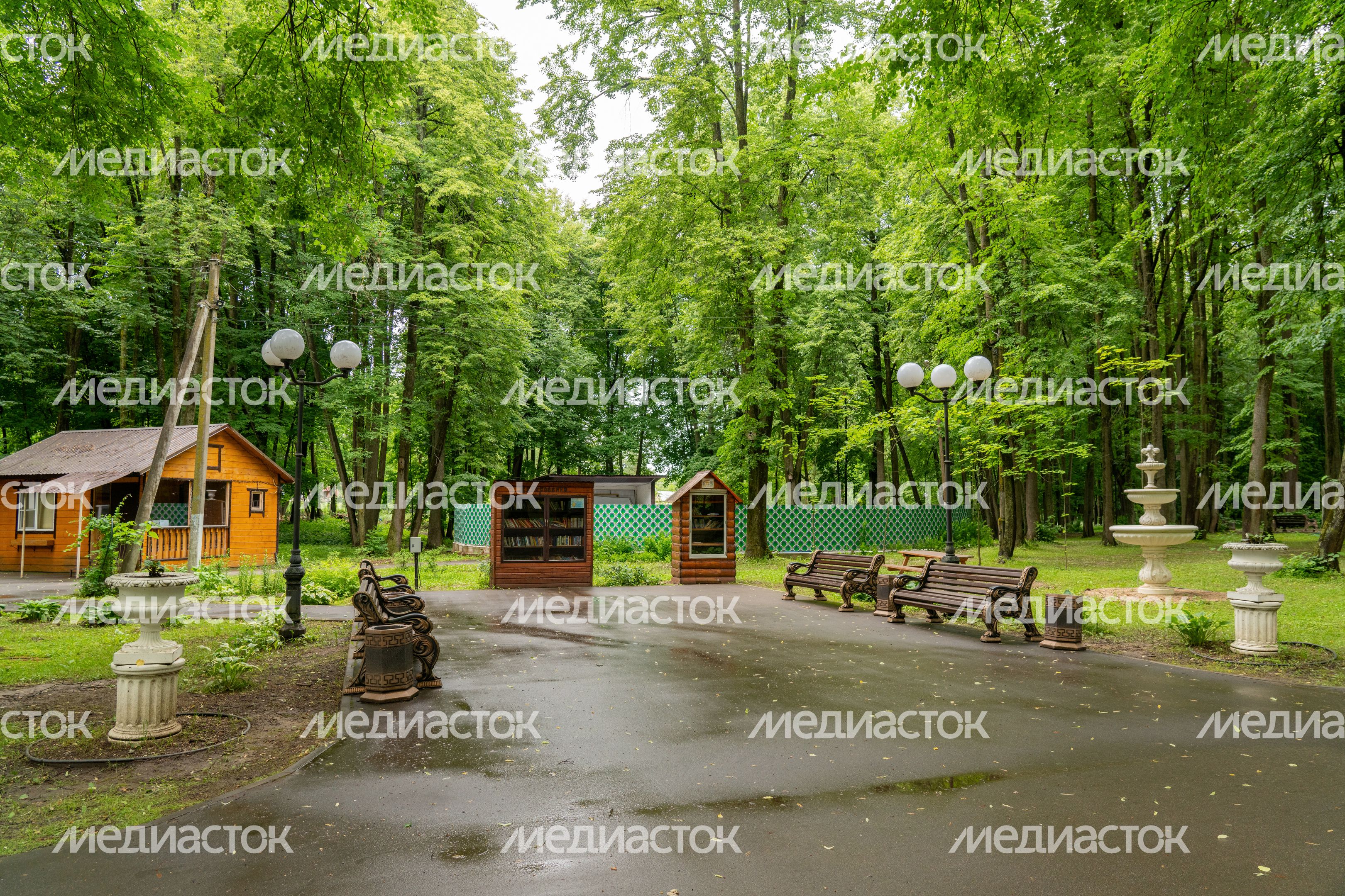 Лотошинский парк культуры и отдыха. Лето 2026 Лотошинский парк культуры и отдыха. Лето 2026