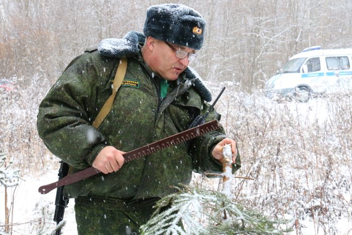 Рейд лесной охраны в Подольском лесничестве