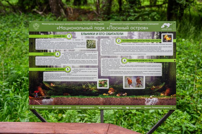 Экотропа «Заповедный лес» в Национальном парке «Лосиный остров» в Мытищах