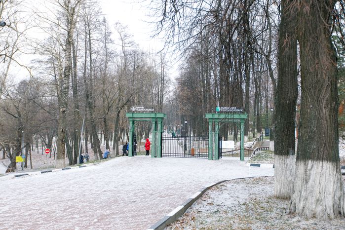 Раменское. Городской парк культуры и отдыха. Зима