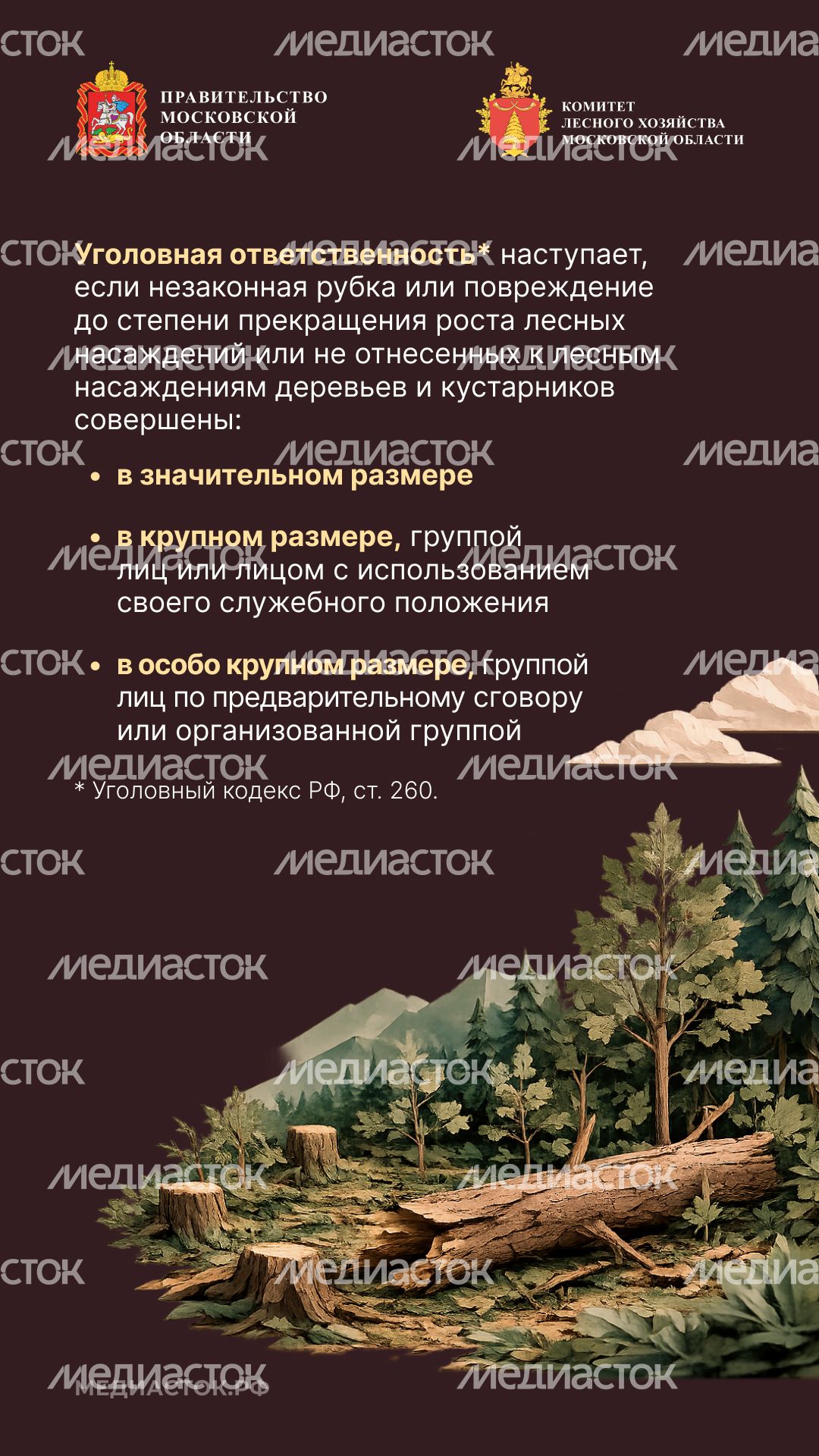 Незаконная рубка вертикаль 06