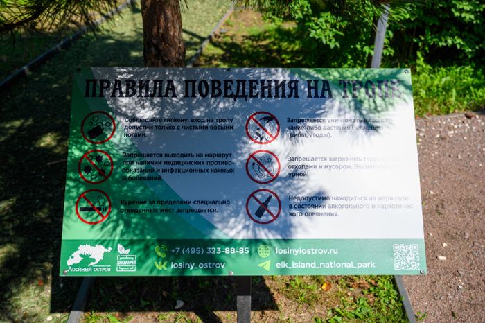 Эколого-просветительский комплекс "Дендрарий" в Мытищах