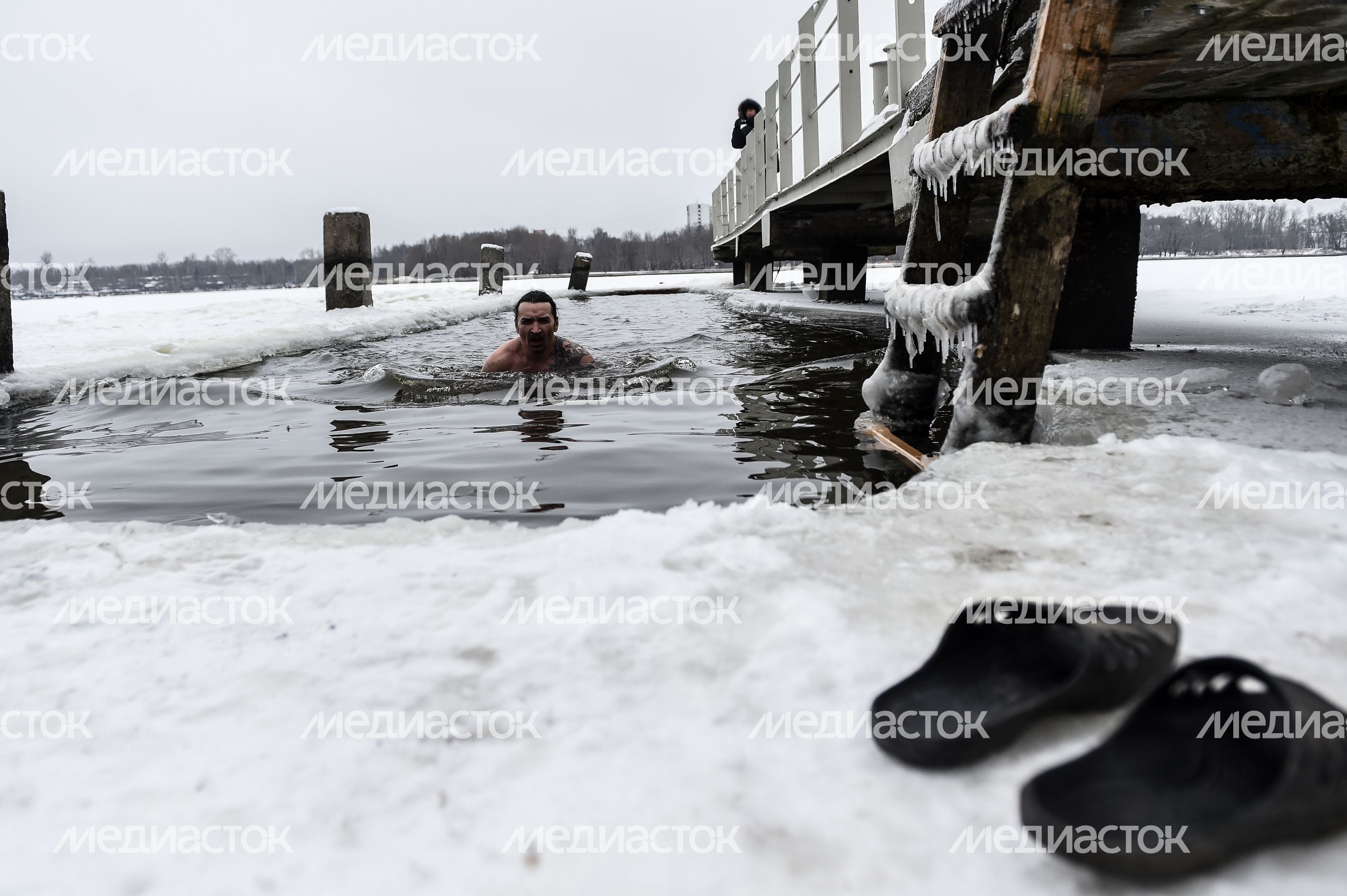 Купание моржей в Долгопрудном