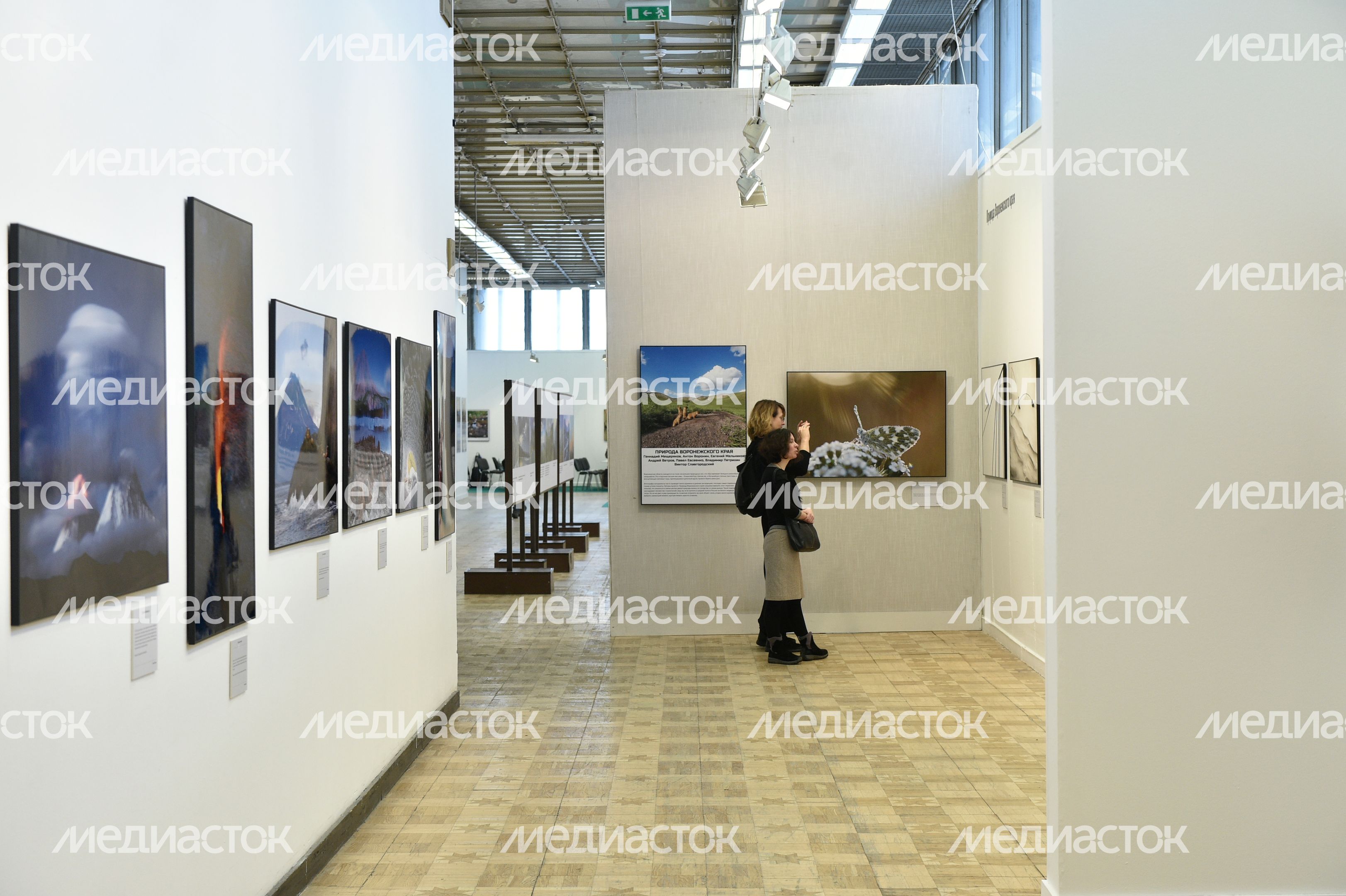 Открытие выставки «Первозданная Россия» в Москве
