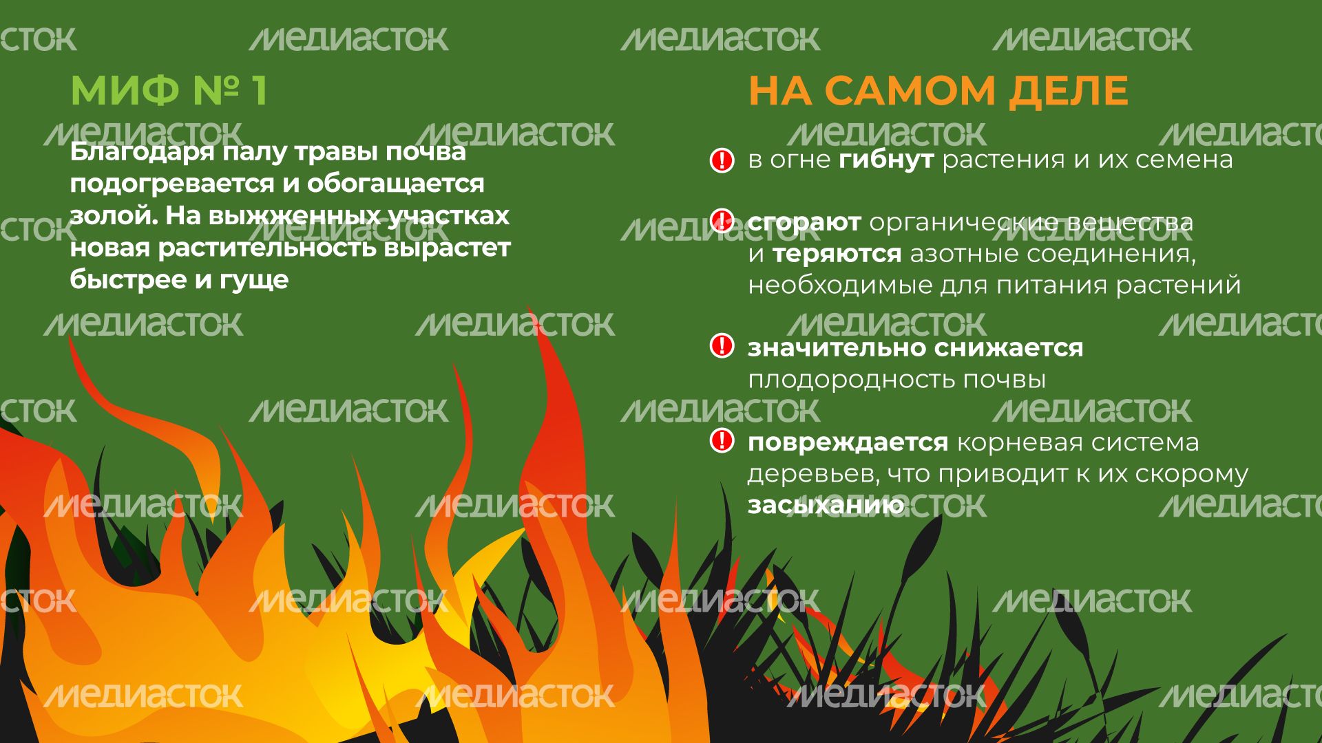 пал_гор_2.jpg