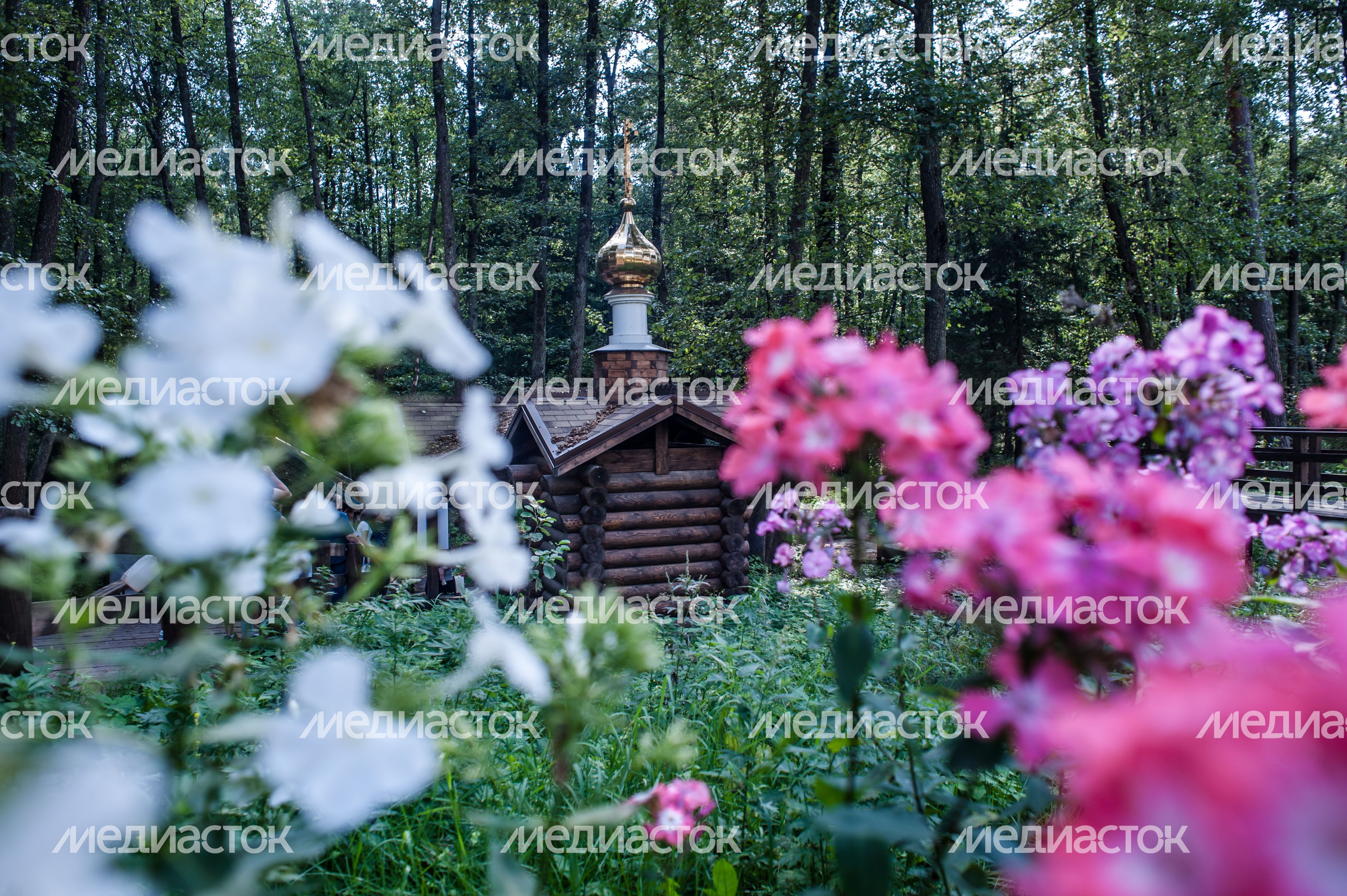 Анциферовский родник