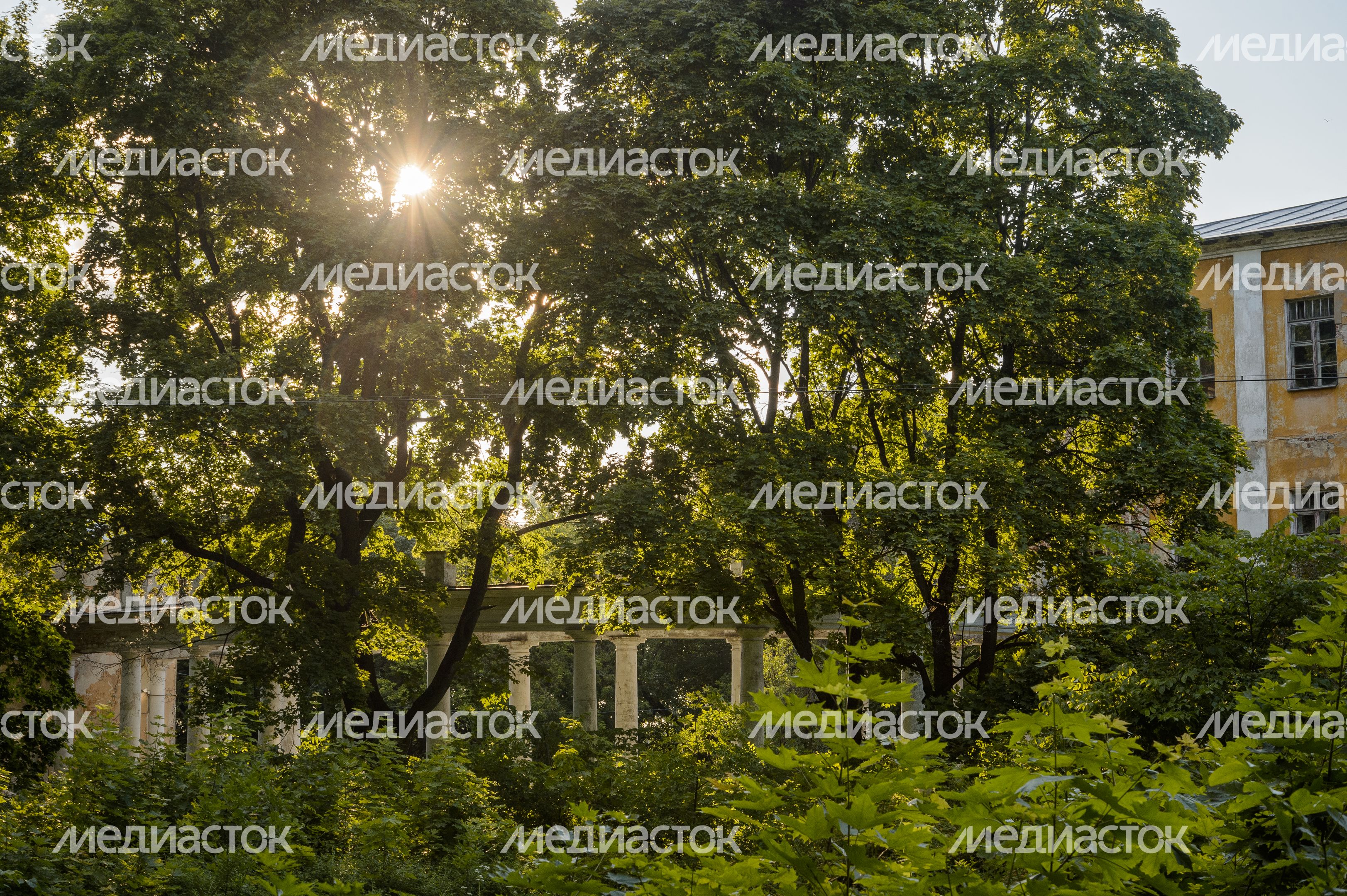 Усадьба Пехра-Яковлевское