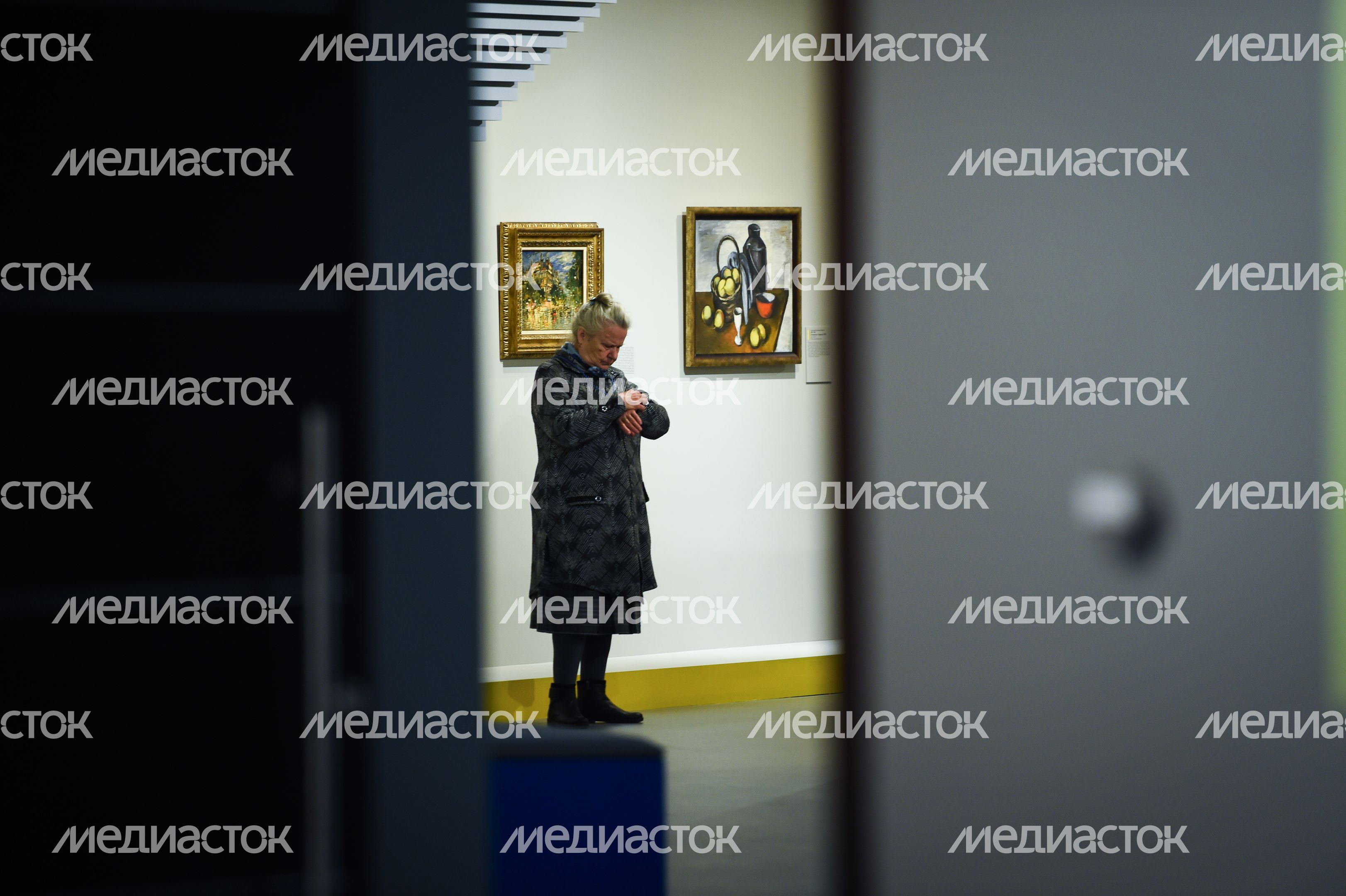Открытие выставки «Цвет. 90 шедевров из музеев Подмосковья» в Истре