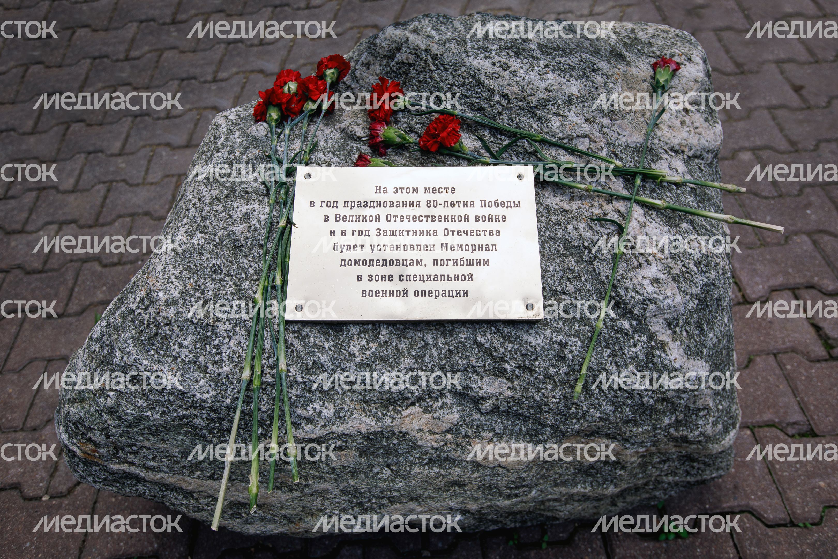 Аллея 30-летия Победы в Великой Отечественной войне в Домодедово