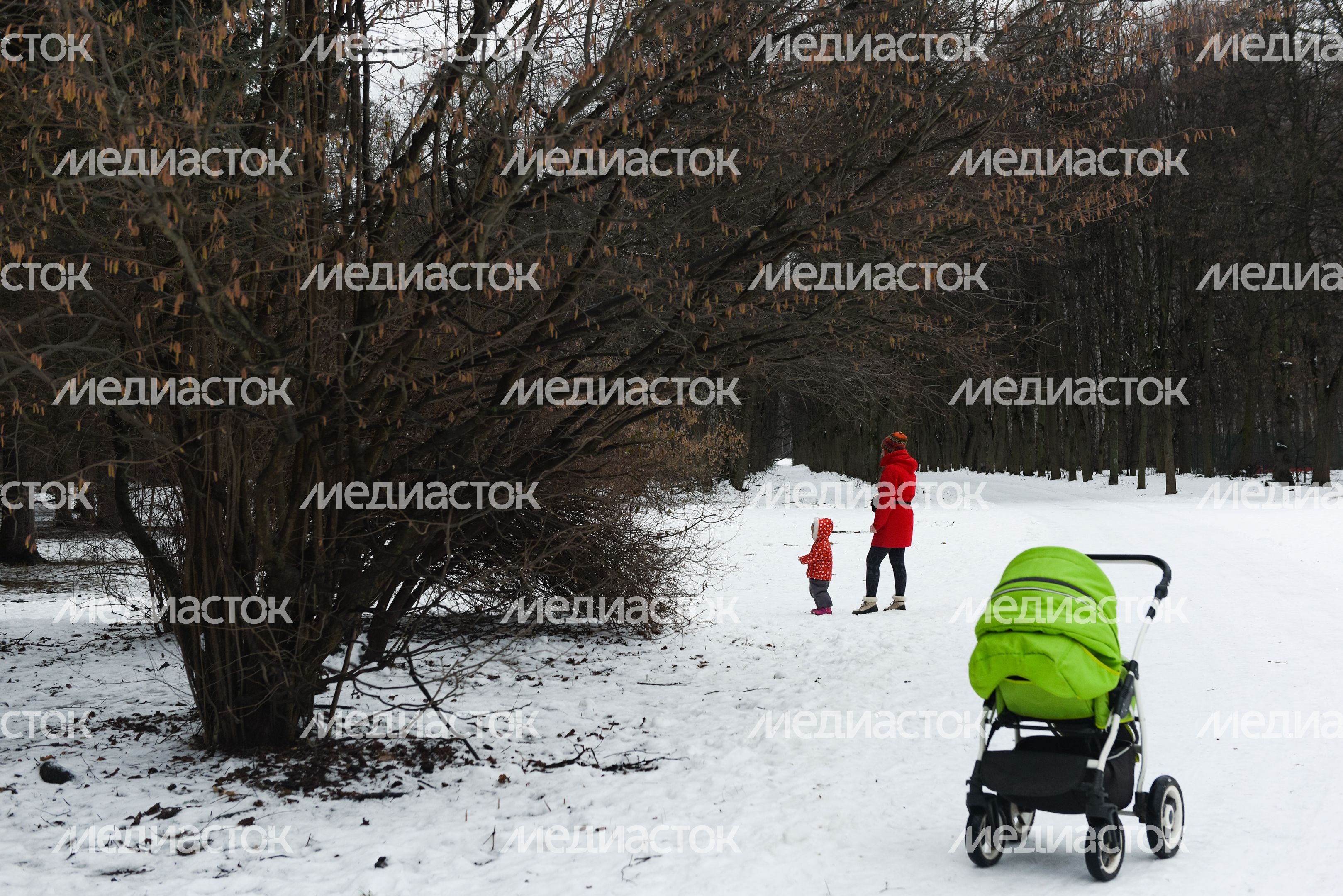 Лесопарк «Кусково»
