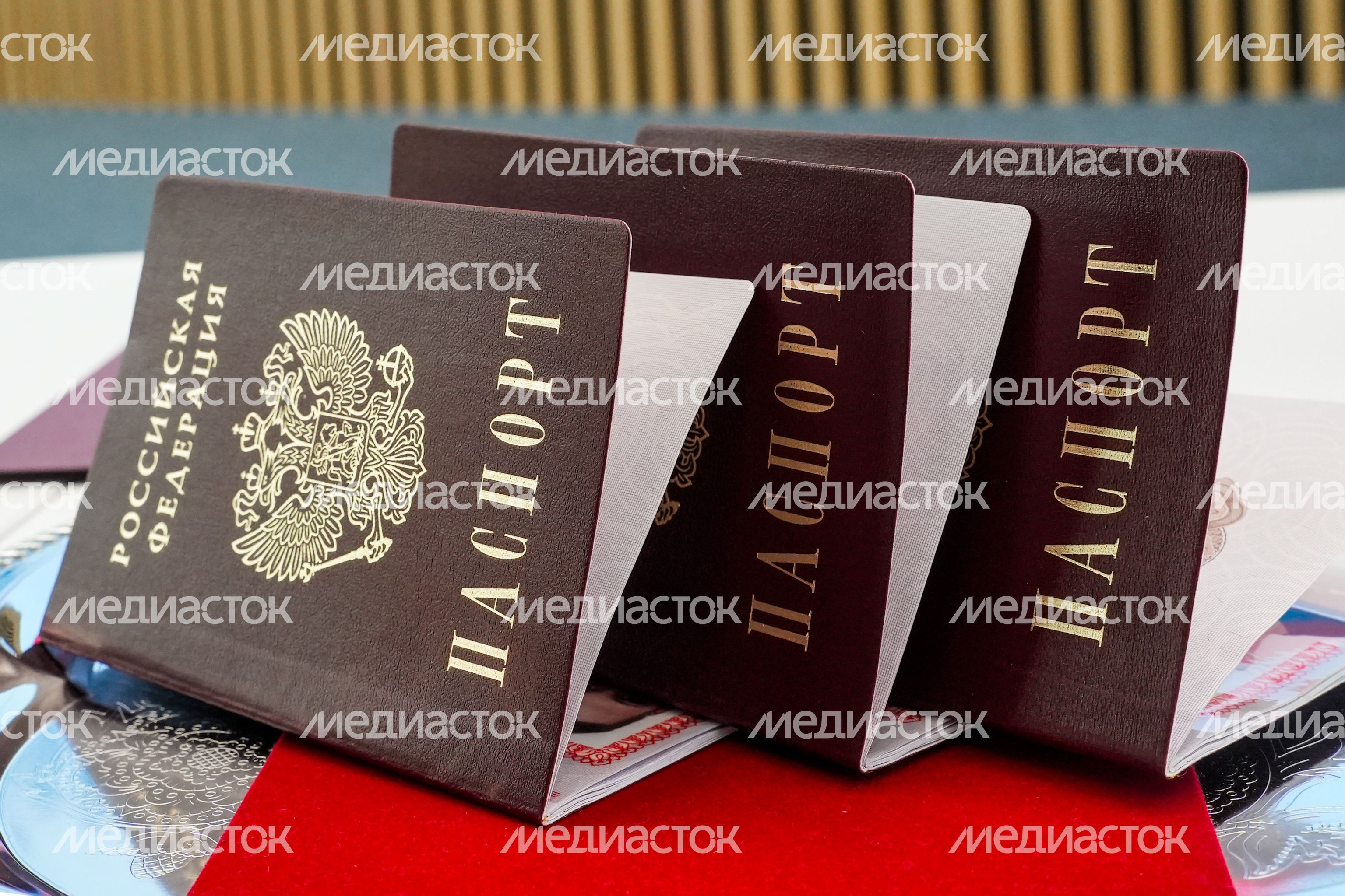 Юным жителям Подмосковья вручили первые паспорта гражданина РФ
