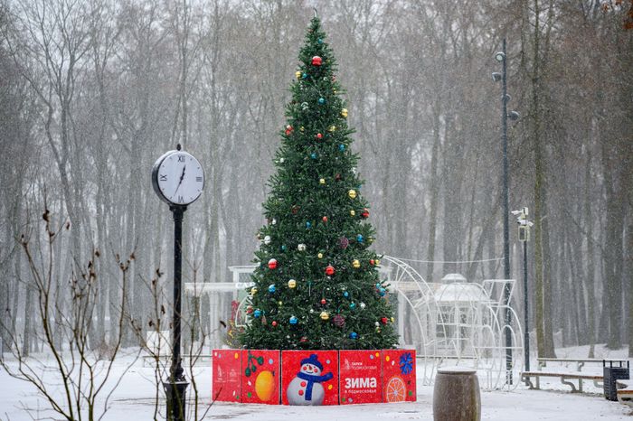 Новогодняя елка в парке усадьбы Кривякино в Воскресенске