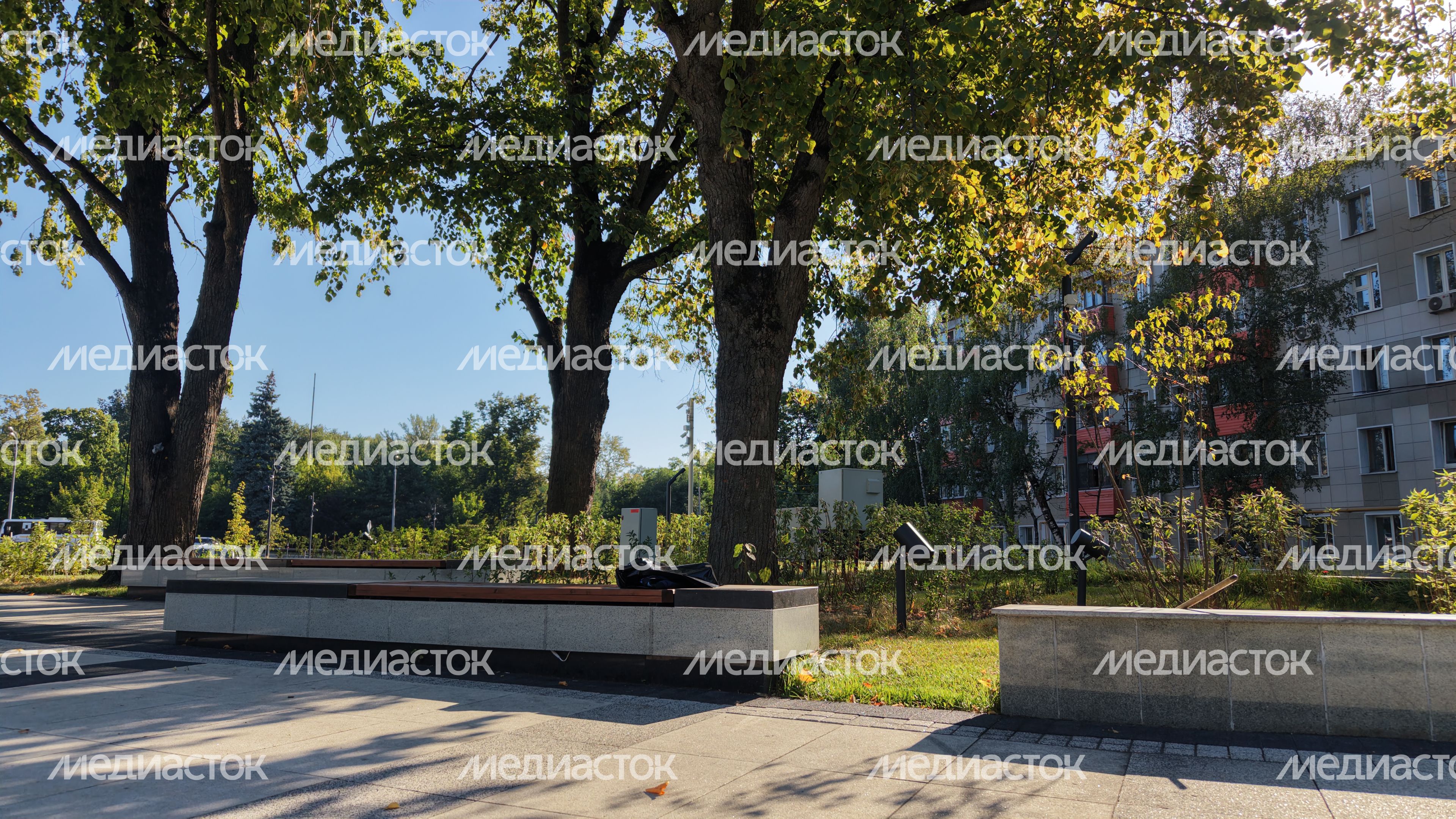 Благоустройство площади Мира в Мытищах