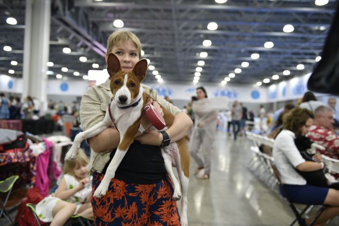Всемирная выставка собак World Dog Show 2016 в МВЦ «Крокус Экспо»