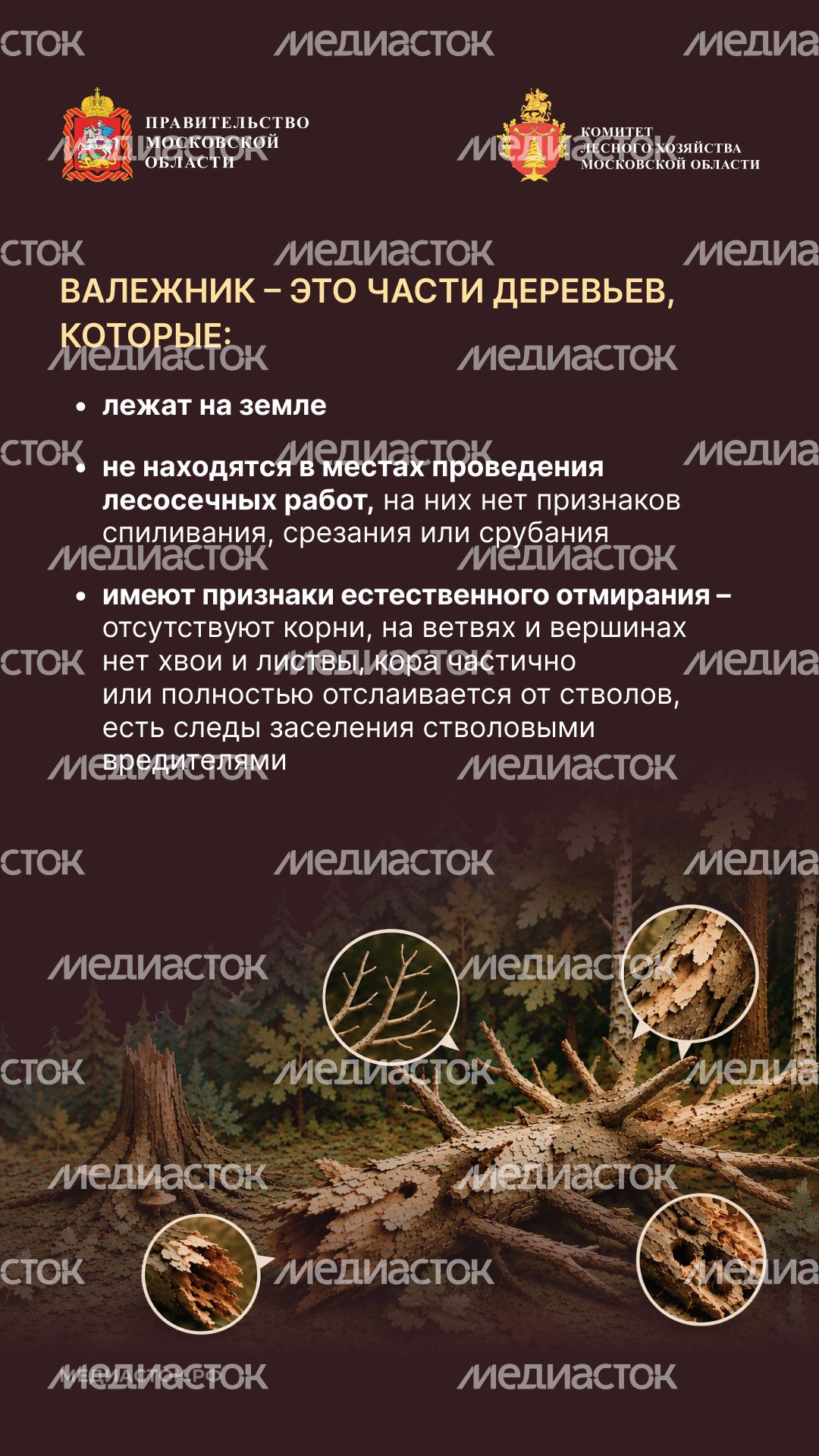 Валежник для собственных нужд вертикаль 03 Валежник для собственных нужд вертикаль 03