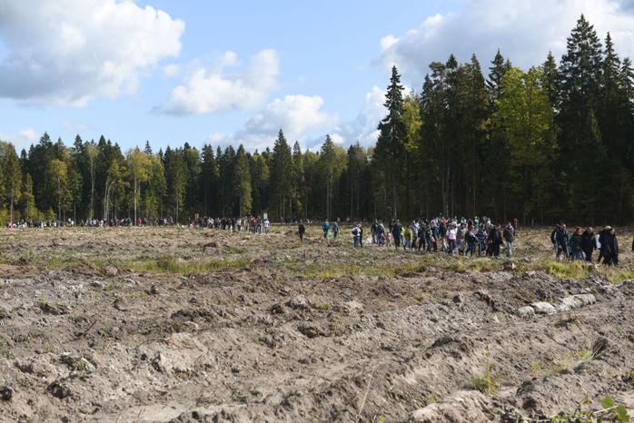 Ежегодная экологическая акция «Наш лес. Посади свое дерево» в Одинцовском городском округе