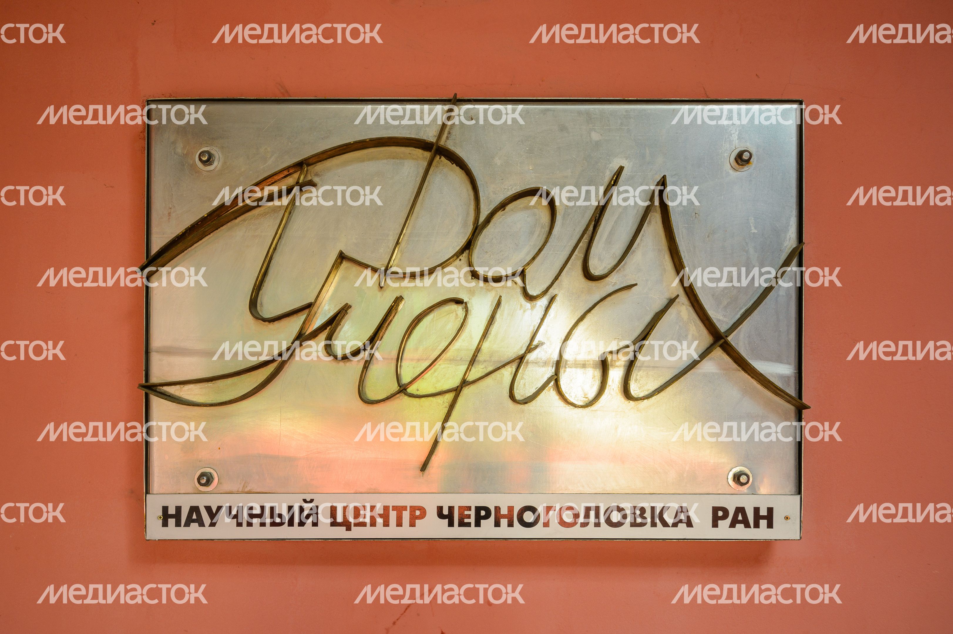 Большая гостиная Дома ученых НЦЧ РАН в Черноголовке Большая гостиная Дома ученых НЦЧ РАН в Черноголовке