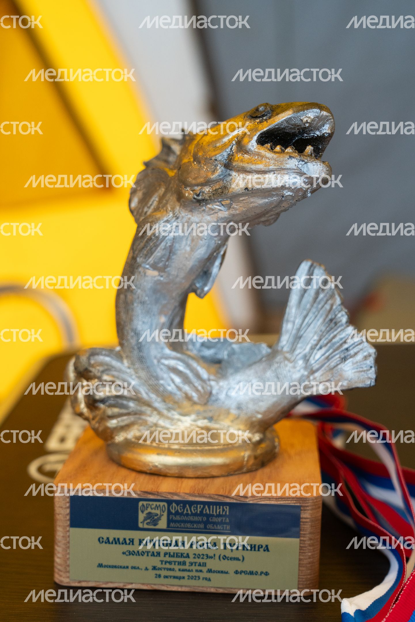 Мытищи. Соревнования «Золотая рыбка-2023. Осень» Мытищи. Соревнования «Золотая рыбка-2023. Осень»