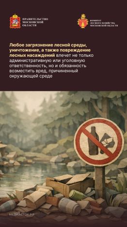 Санитарная безопасность в лесах вертикаль 06