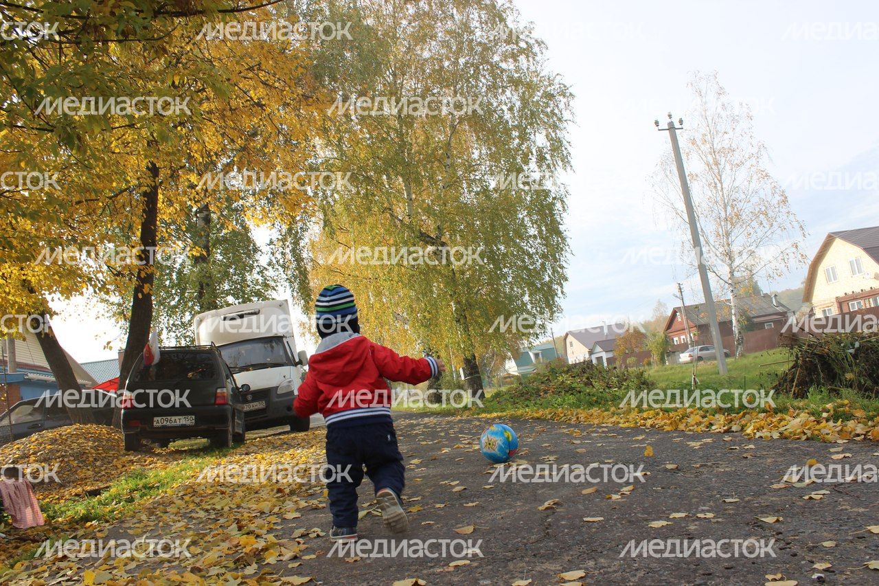 Осень в Подмосковье