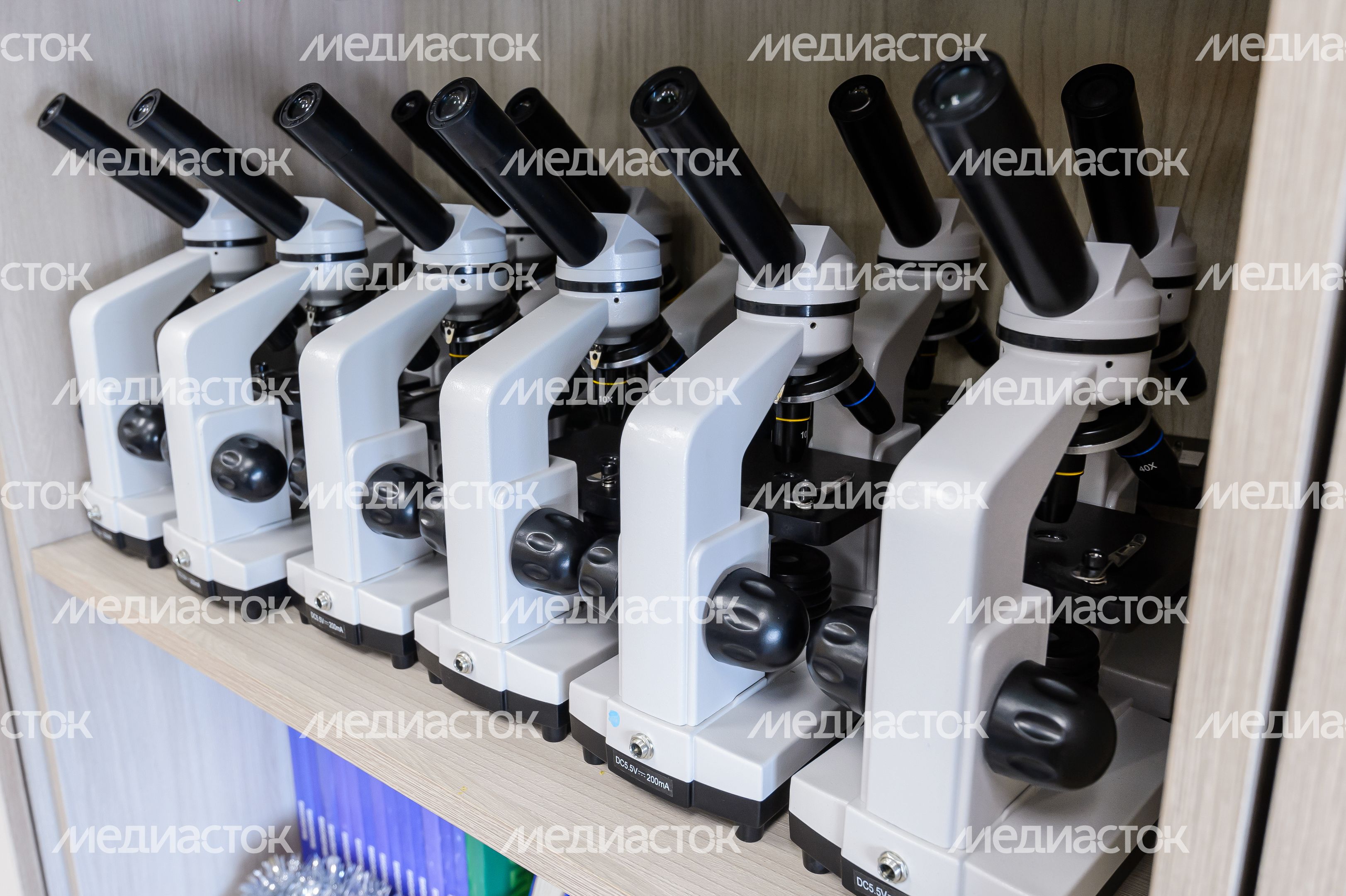 Новая школа №10 в Павловском Посаде
