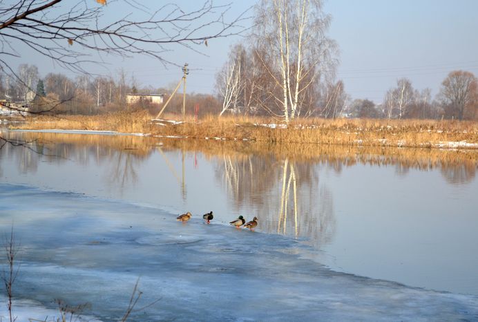 Река Клязьма в Щелково
