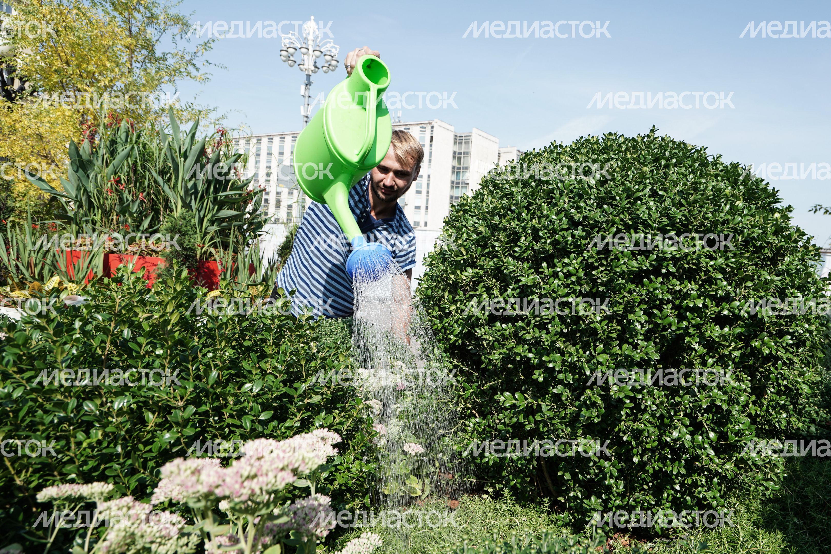 Подготовка к открытию площадки фестиваля «Цветочный джем» в Москве Подготовка к открытию площадки фестиваля «Цветочный джем» в Москве