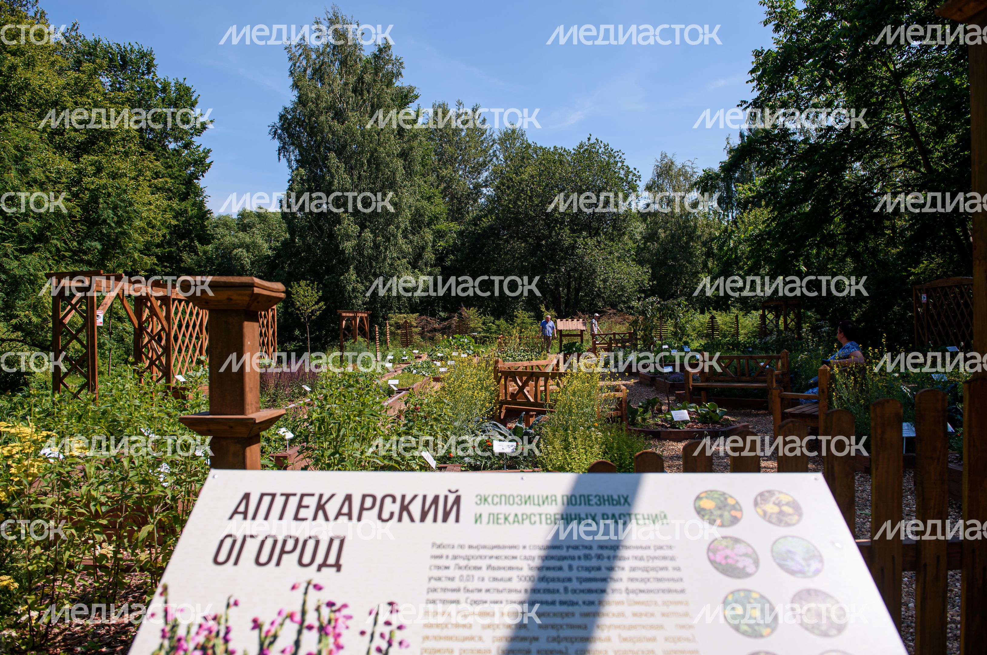 Переславский дендрологический сад имени Сергея Фёдоровича Харитонова