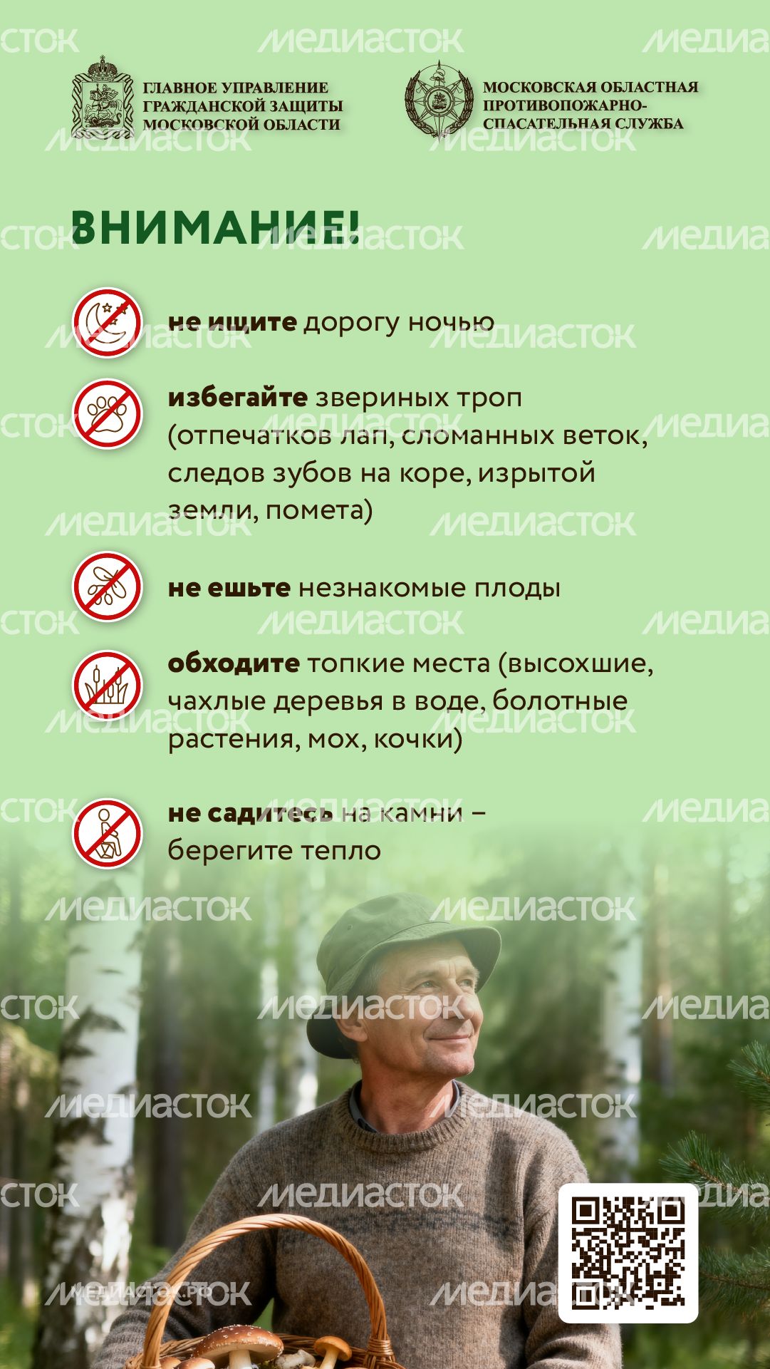 Как подготовиться к походу в лес вертикаль 09 Как подготовиться к походу в лес вертикаль 09