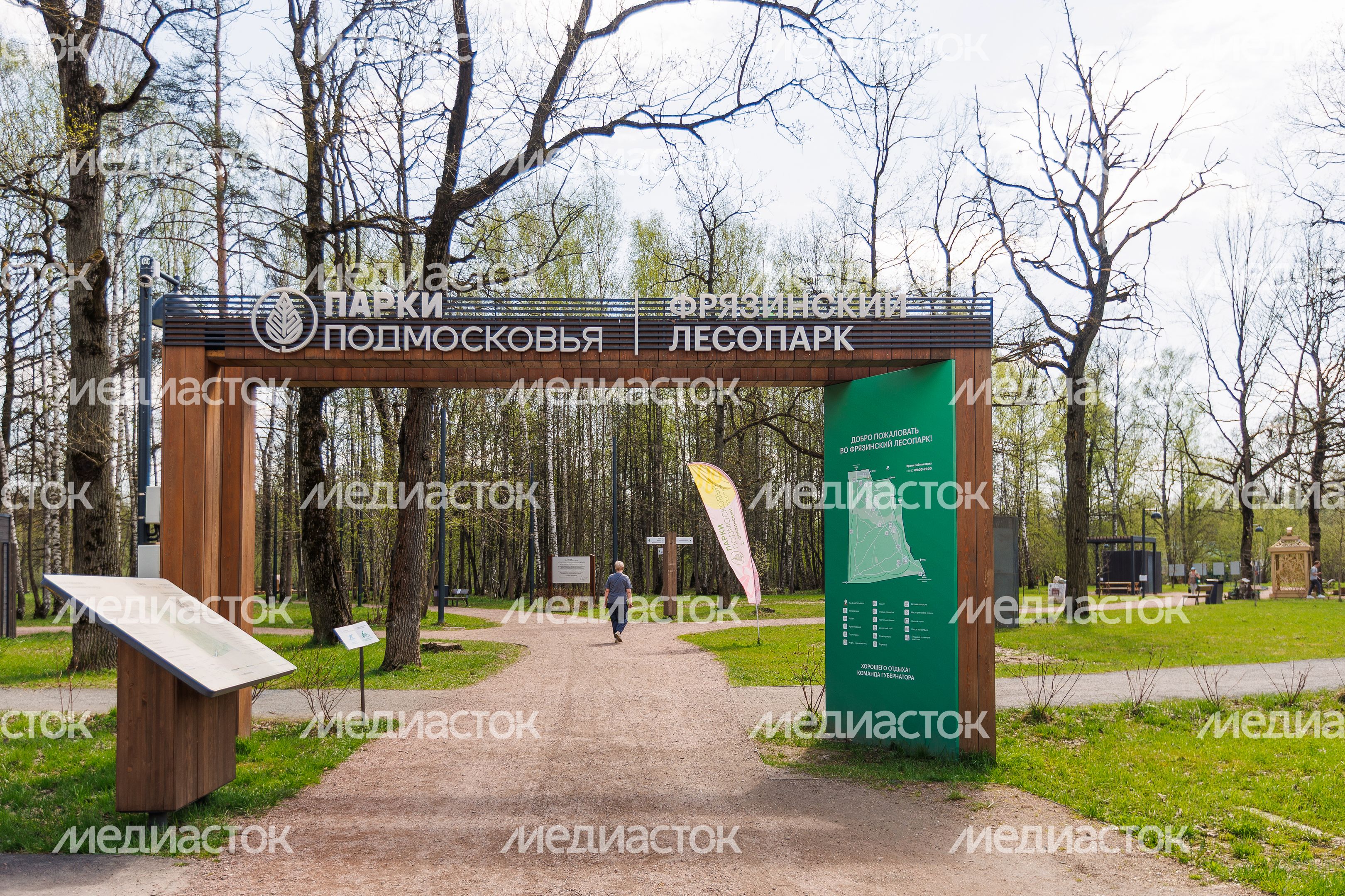 Фрязинский лесопарк весной Фрязинский лесопарк весной
