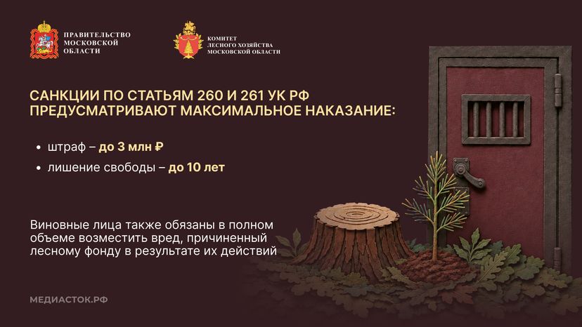 Самовольный захват и использование лесных участков горизонталь 07