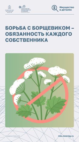 Борьба с борщевиком вертикаль 01