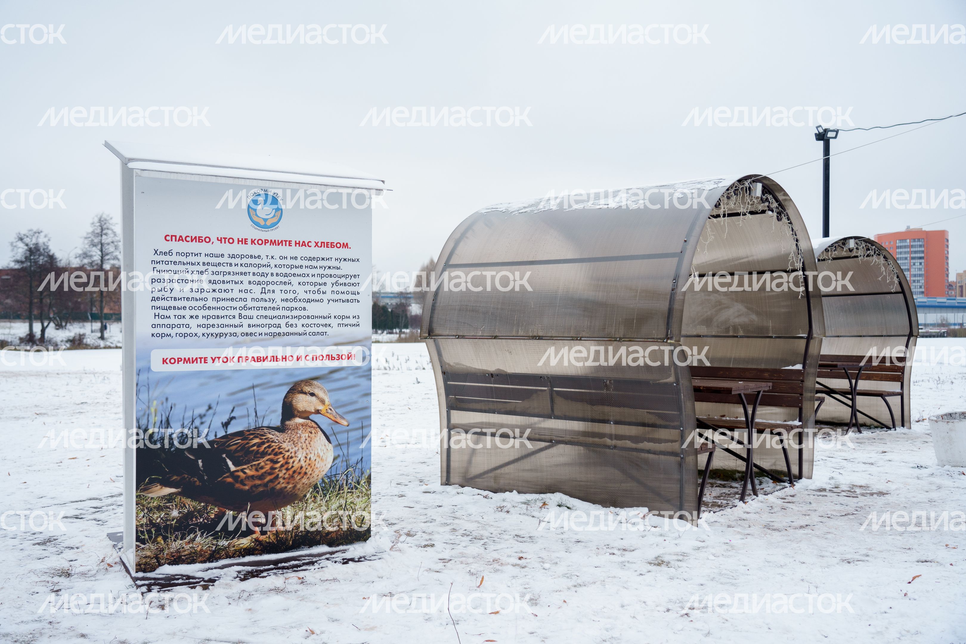 Дубна. Парк семейного отдыха. Зима Дубна. Парк семейного отдыха. Зима