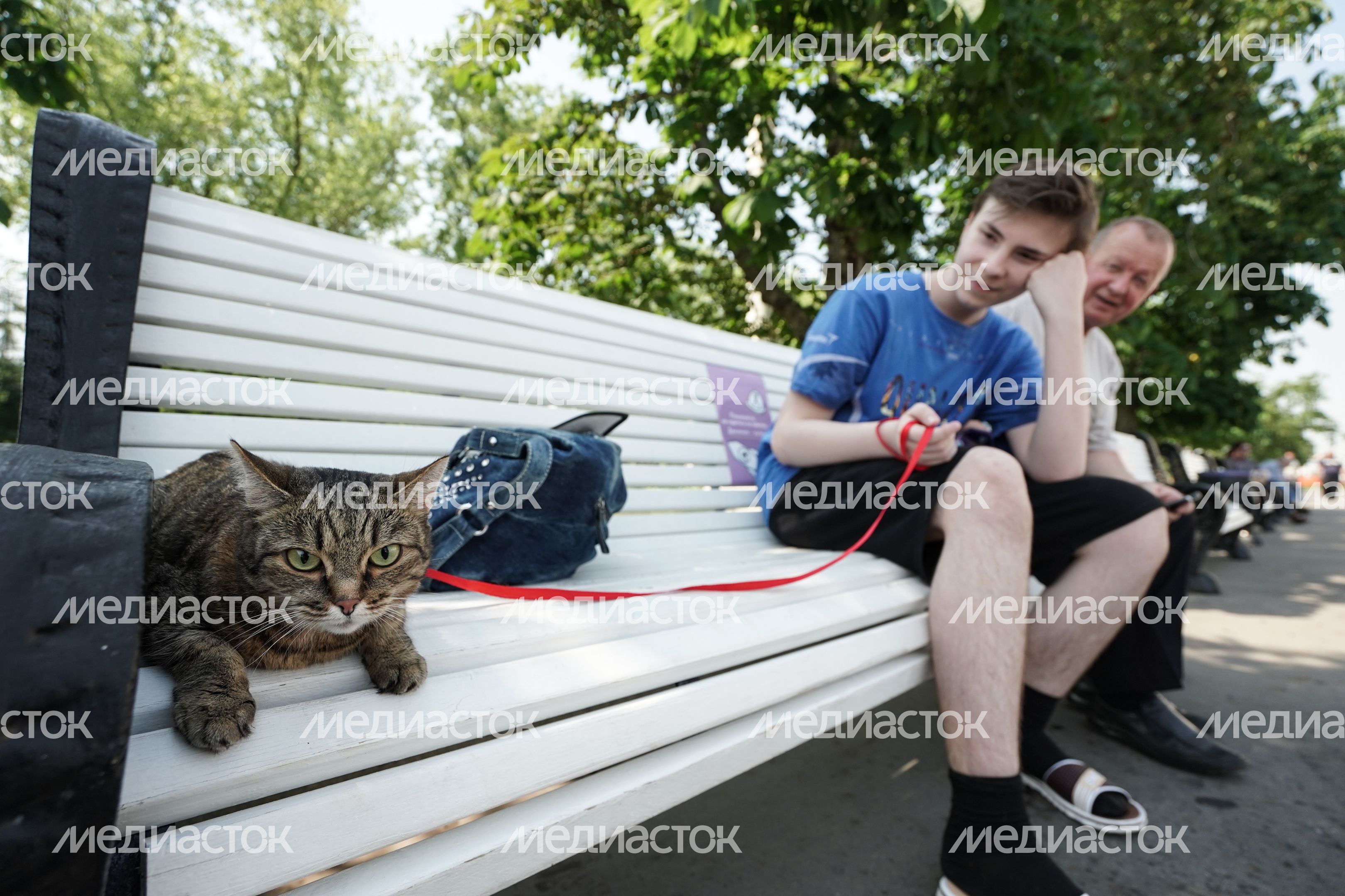Аномальная жара в Москве