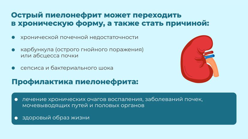 болезни почек-горизонталь-04