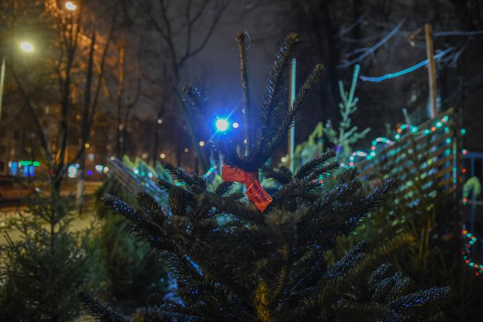 Открытие елочных базаров в Москве