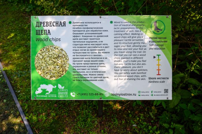 Эколого-просветительский комплекс "Дендрарий" в Мытищах