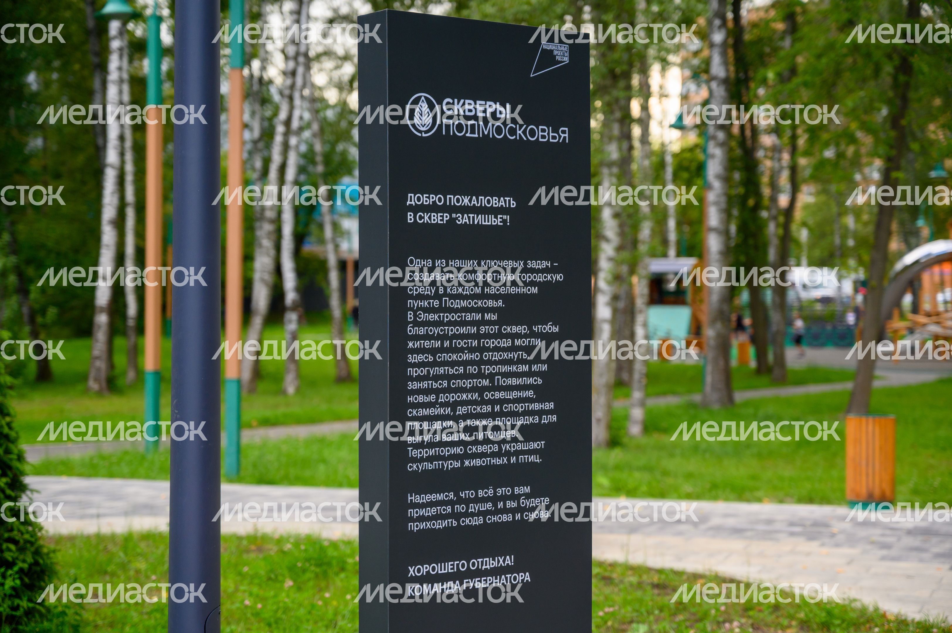 Сквер «Затишье» в Электростали летом