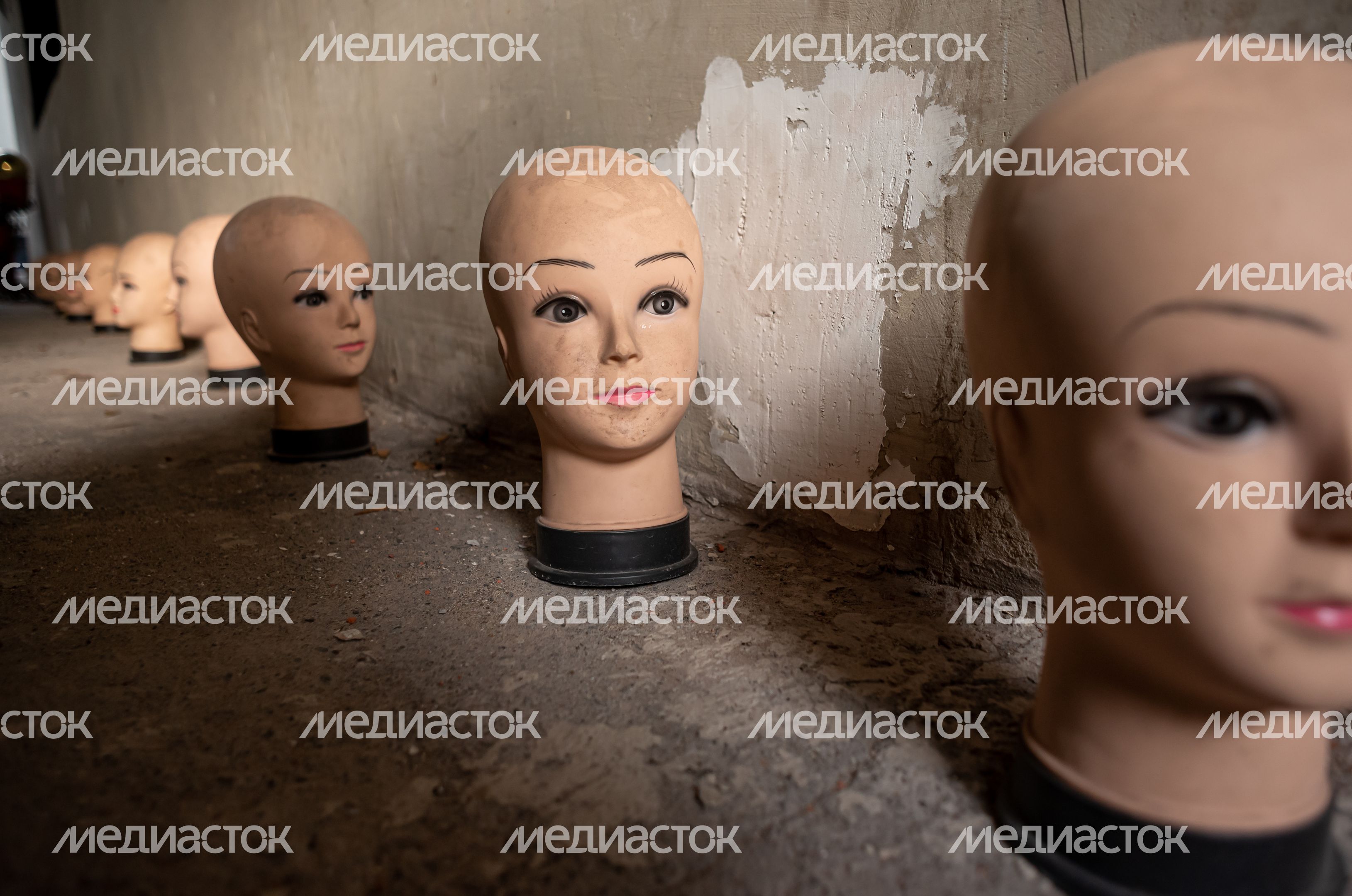 Виды музея Мёртвых Кукол