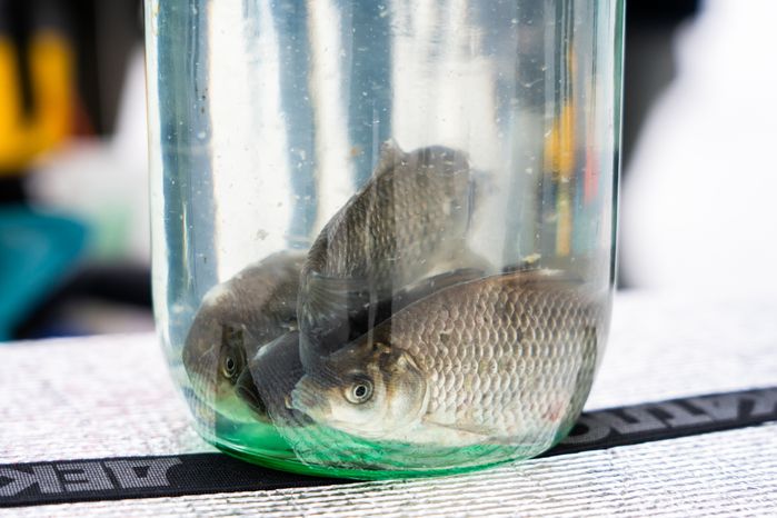 Зимняя рыбалка на Озернинском водохранилище в Рузском округе