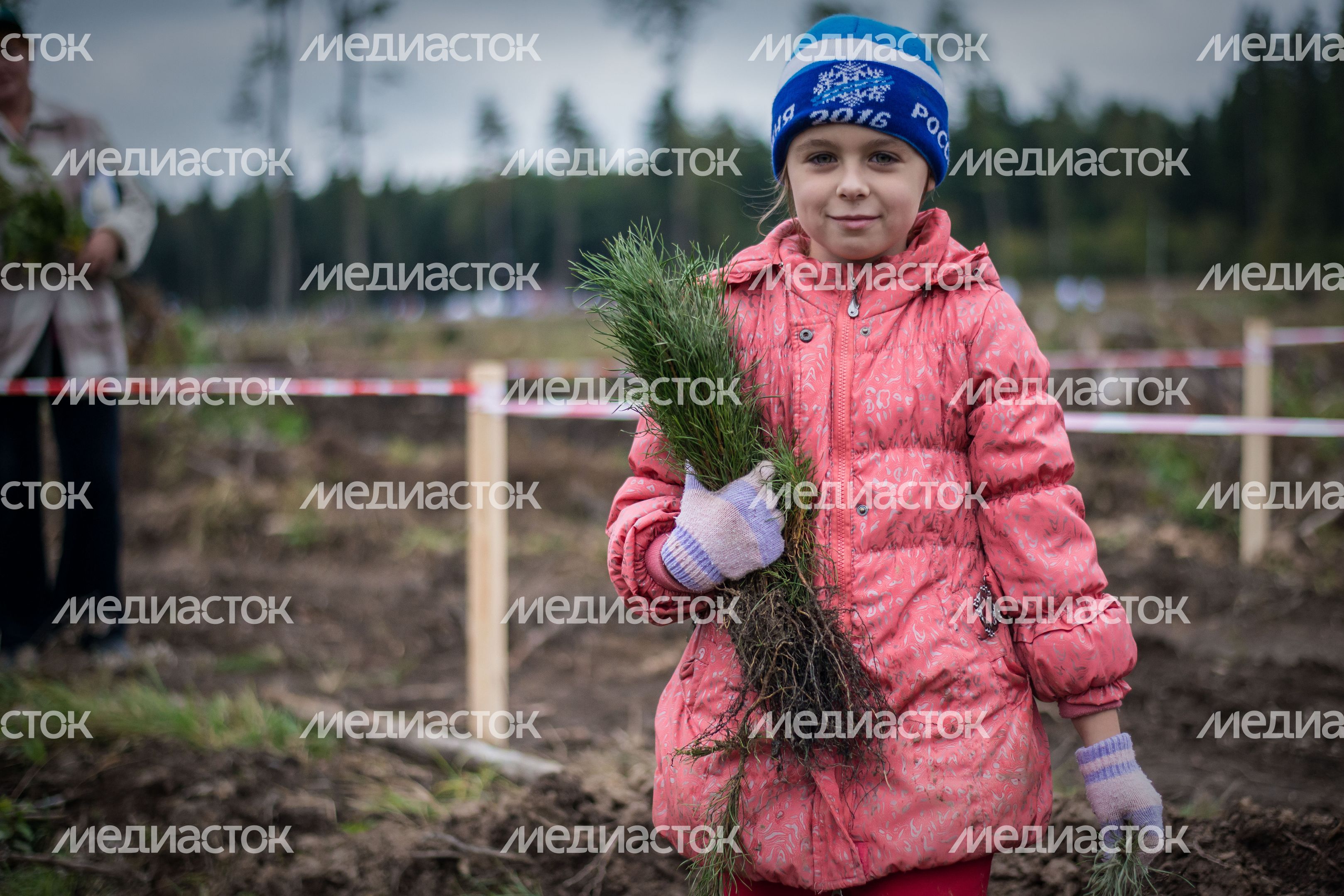 Губернатор Московской области на акции «Наш лес. Посади свое дерево» в Мытищах