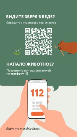 Вертикаль Безопасность в лесу 07.jpg