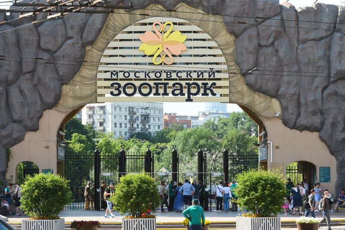 Новый этап снятия ограничений из-за коронавируса в Москве