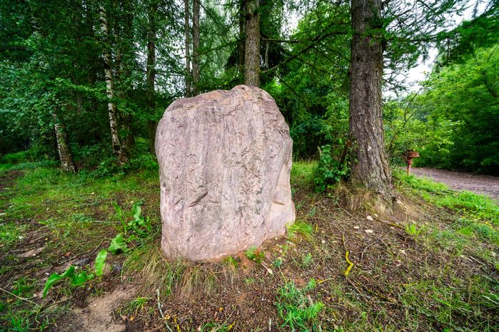 Камень в лесопарке «Талицкий лес» летом в Клину