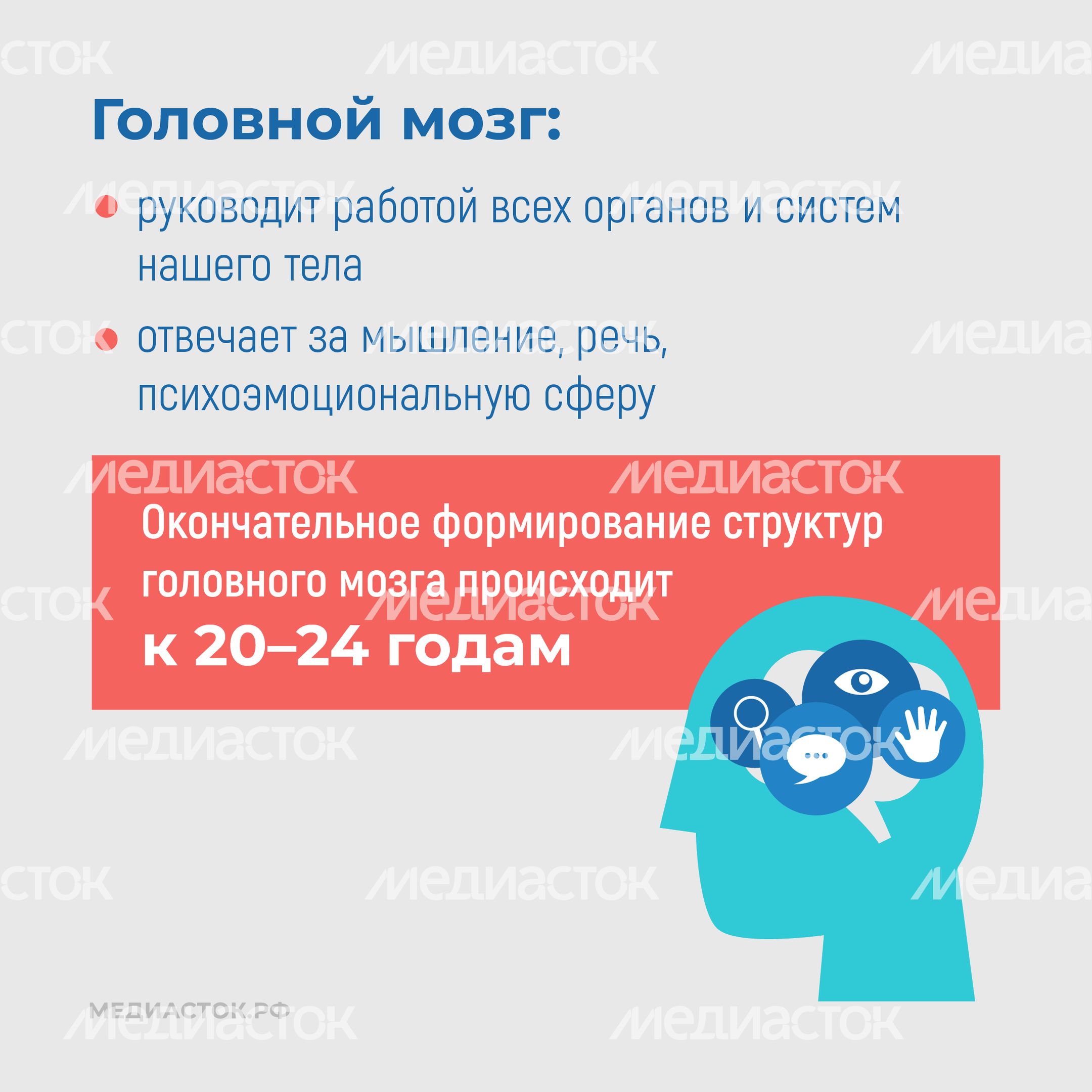 Алкоголь и развитие мозга квадрат 04 Алкоголь и развитие мозга квадрат 04