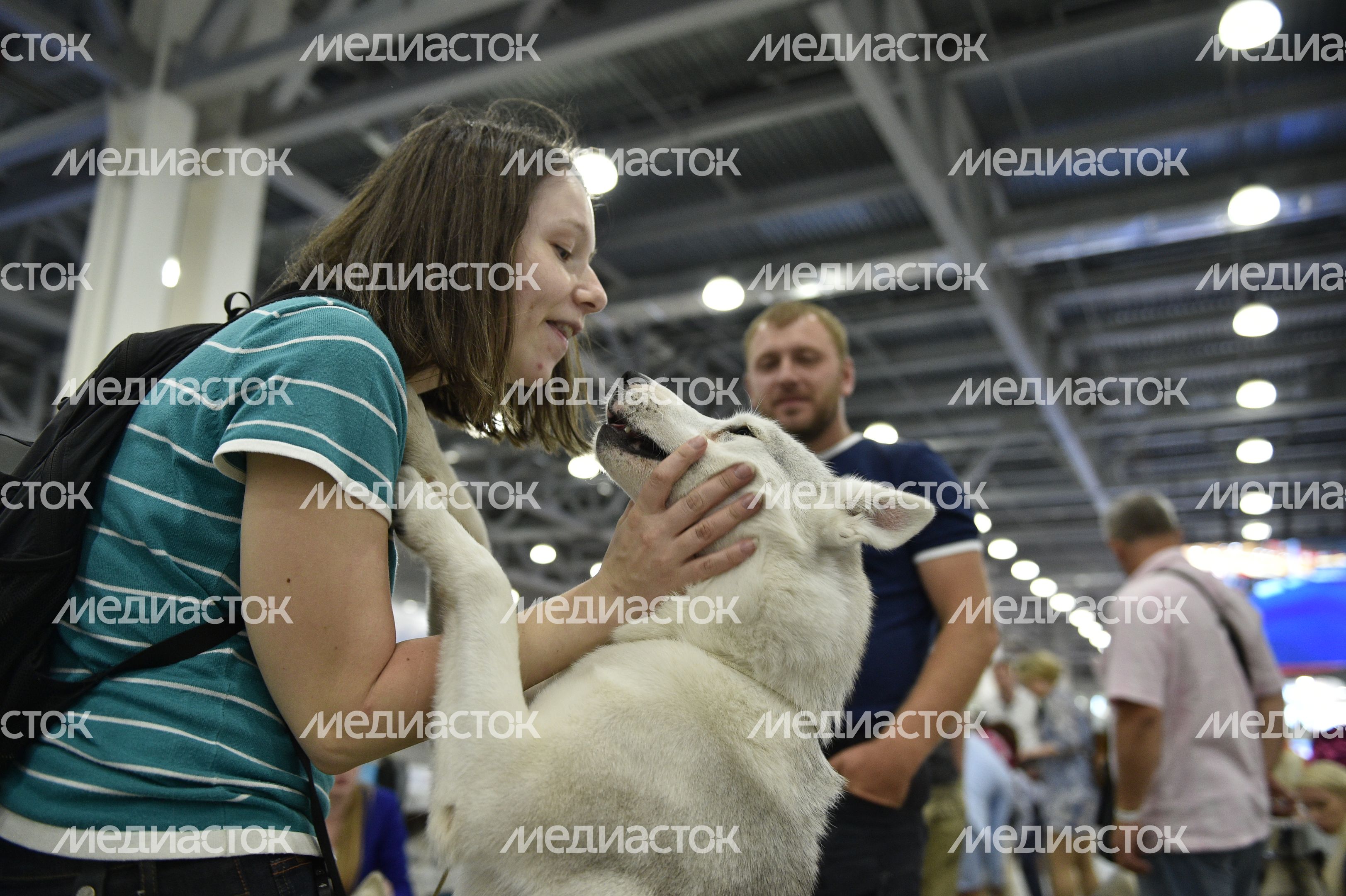 Всемирная выставка собак World Dog Show 2016 в МВЦ «Крокус Экспо» Всемирная выставка собак World Dog Show 2016 в МВЦ «Крокус Экспо»